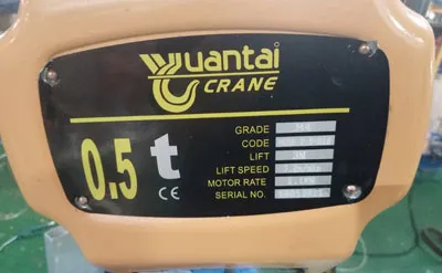 0.5 Ton 3M Electric Chain Hoist with Electric Trolley for Sale to Australia