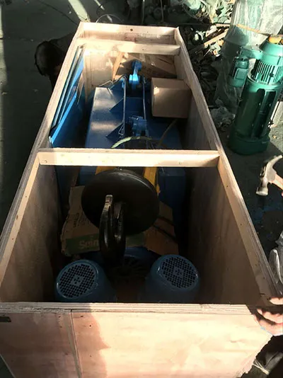 Grúa Viajera Monorriel de 6 Toneladas