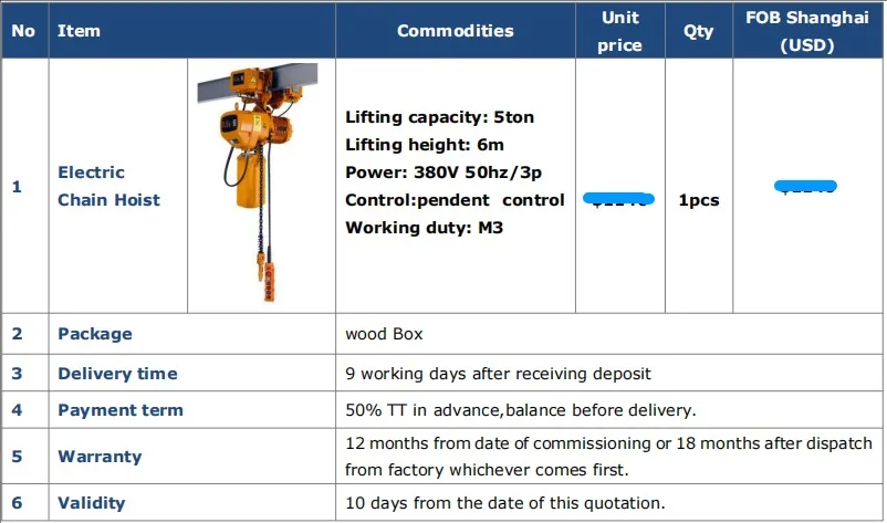 Price of 5 Ton 6M Electric Chain Hoist for Sale to Pakistan: