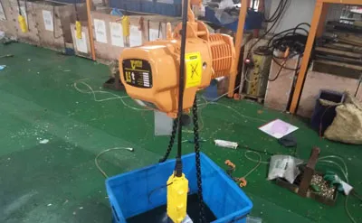 0.5 Ton Electric Chain Hoist