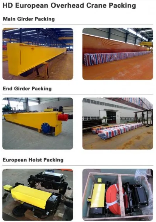 Packing and Delivery of 5 Ton European Type Overhead Crane to Chile