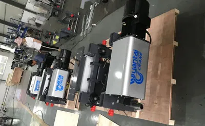 Grúa Viajera Monorriel de 6,3 Toneladas 20 M H-5,5 M con Polipasto Eléctrico de Cable de tipo Europeo Venta a México