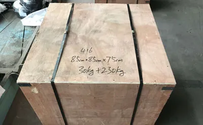 Embalaje de Puente Grúa Monorriel tipo Europeo de 10 Toneladas