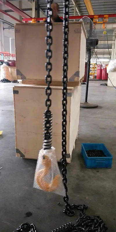 1 Ton Electric Chain Hoist