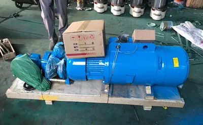 Paquete de Puente Grúa Monorriel de 5 Toneladas