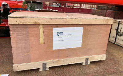 Packing of 5 Ton Overhead Crane with European Hoist