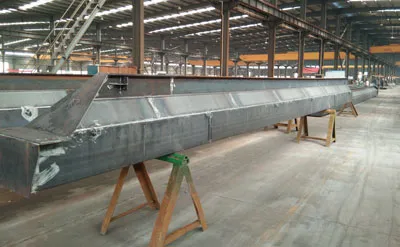 Procesamiento de Puente Grúa Monorriel de 5 Toneladas