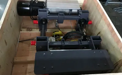 Envase de Grúa Viajera Monorriel de 6,3 Toneladas