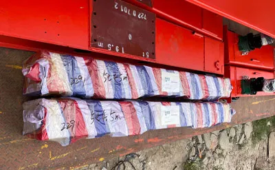 Packing of 5 Ton Overhead Crane with European Hoist