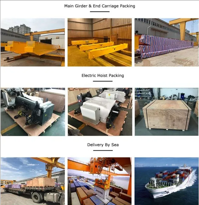 Paquete y entrega de 5 Ton y 6 Ton Grúa Viajera Birrail tipo Europeo para la venta