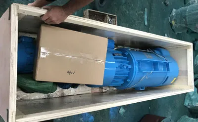 Embalaje del polipasto eléctrico de cable de 5 toneladas