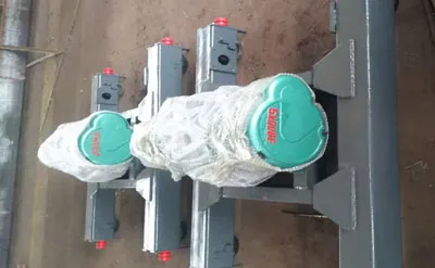 Puente Grúa Birriel de 3 Toneladas +3 Toneladas 9.093M y H-5.2M Venta a Estados Unidos