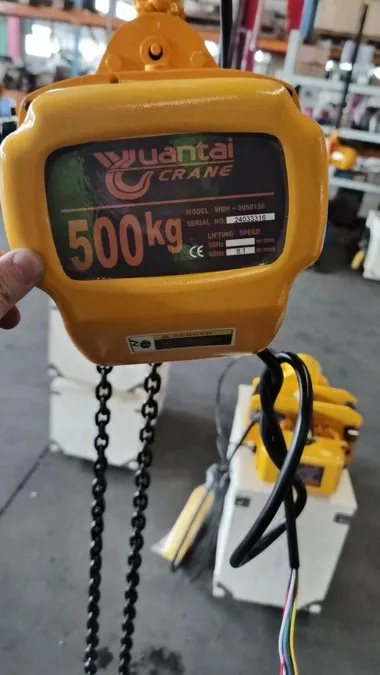 Polipasto Eléctrico de Cadena de 500 kg