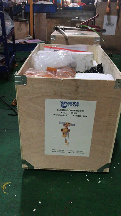 Embalaje del polipasto eléctrico de cadena de 2 toneladas