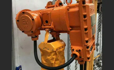 Polipasto Eléctrico de Cadena a Prueba de Explosión de 10 Toneladas 30 Metros con Gancho Fijo Venta a México