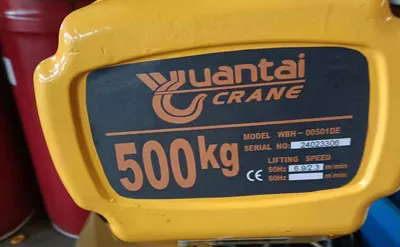 Polipasto Eléctrico de Cadena de 500kg 3M Venta a México
