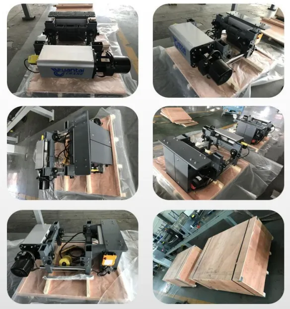 Embalaje y Entrega Polipasto Eléctrico de Cable de tipo Europeo de 5 Tonelada