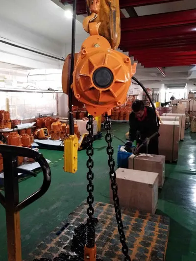 Tratamiento de Polipasto Eléctrico de Cadena 3 Toneladas