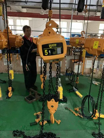 Procesamiento de Polipasto Eléctrico de Cadena de 5 Toneladas