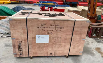 Packing of 5 Ton Overhead Crane with European Hoist