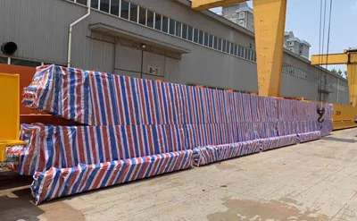 Envase de Grúa Viajera Monorriel de 6,3 Toneladas