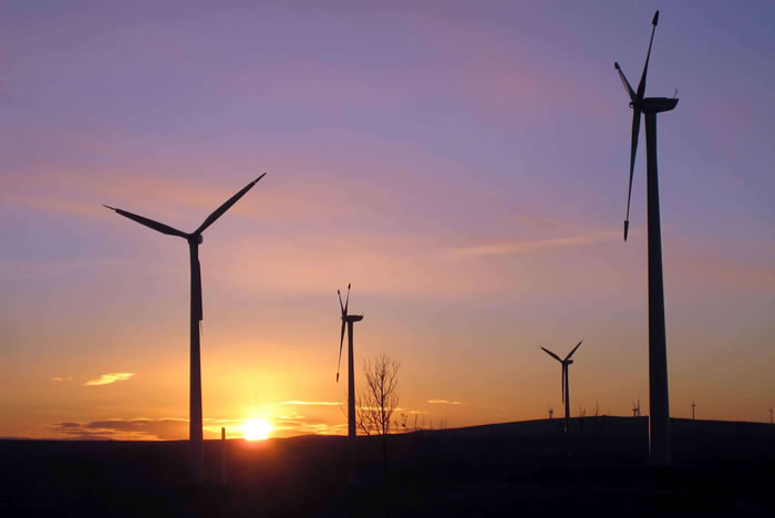 Grues pour l'industrie éolienne