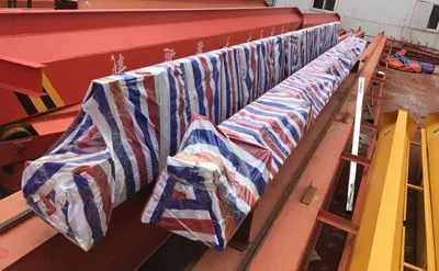 Envase de puente grúa birriel de 3 toneladas