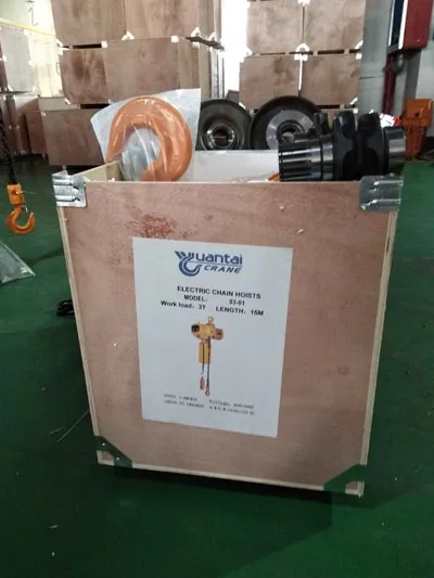 Paquete de Polipasto Eléctrico de Cadena 3 Toneladas