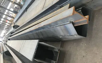 Procesamiento de Puente Grúa Monorriel de 5 Toneladas