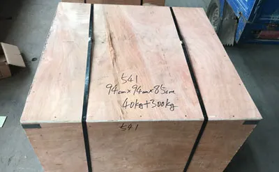 Envase de Grúa Viajera Monorriel de 6,3 Toneladas