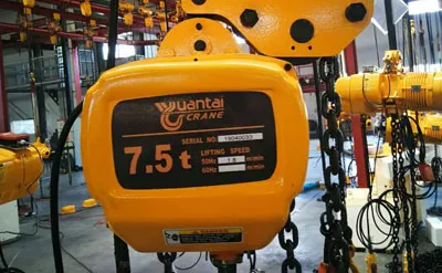 7.5 Ton 11 M Electric Chain Hoist for Sale to Singapore