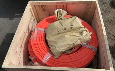 Paquete de Puente Grúa Monorriel de 5 Toneladas