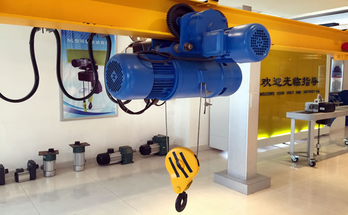 10 Ton 10M Electric Wire Rope Hoist for Sale to United Arab Emirates